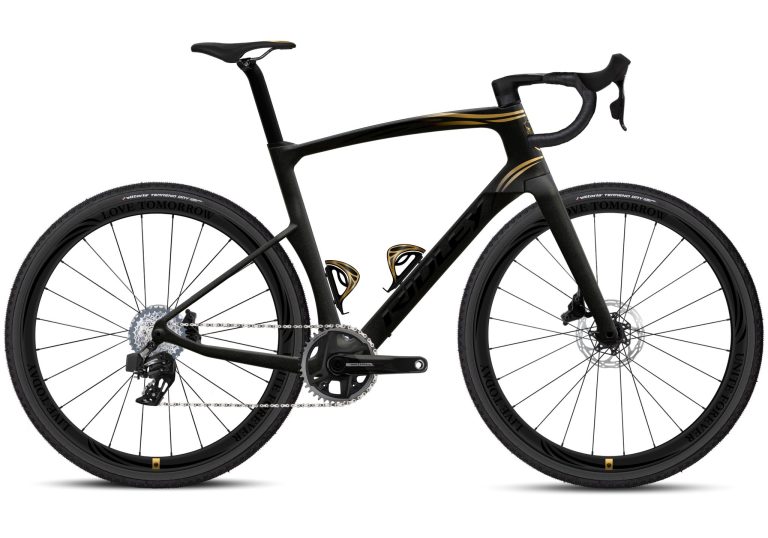 Ridley Invenio Gravel carbone mat en décoration Tomorrowland, vue de profil