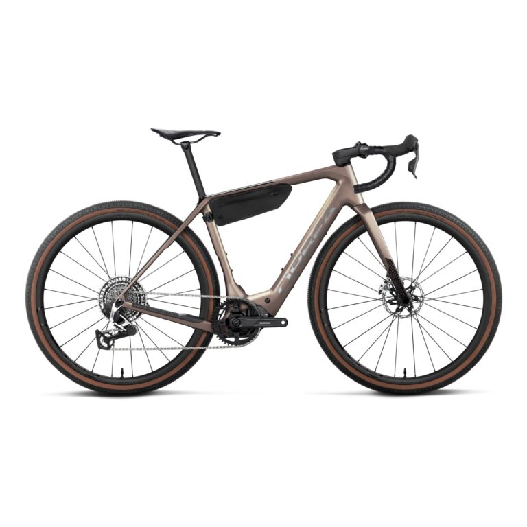 Orbea Denna M11e