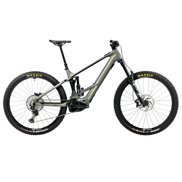 Orbea Wild/M H10