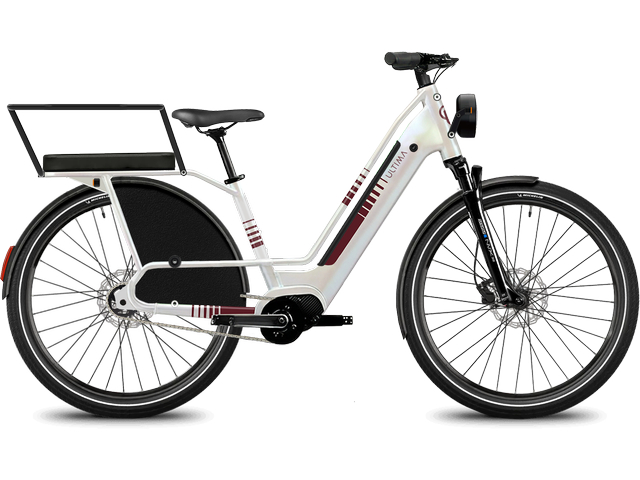 Ultima Essentiel FamilyGo, vélo compact électrique à batterie intégrée, vue de profil