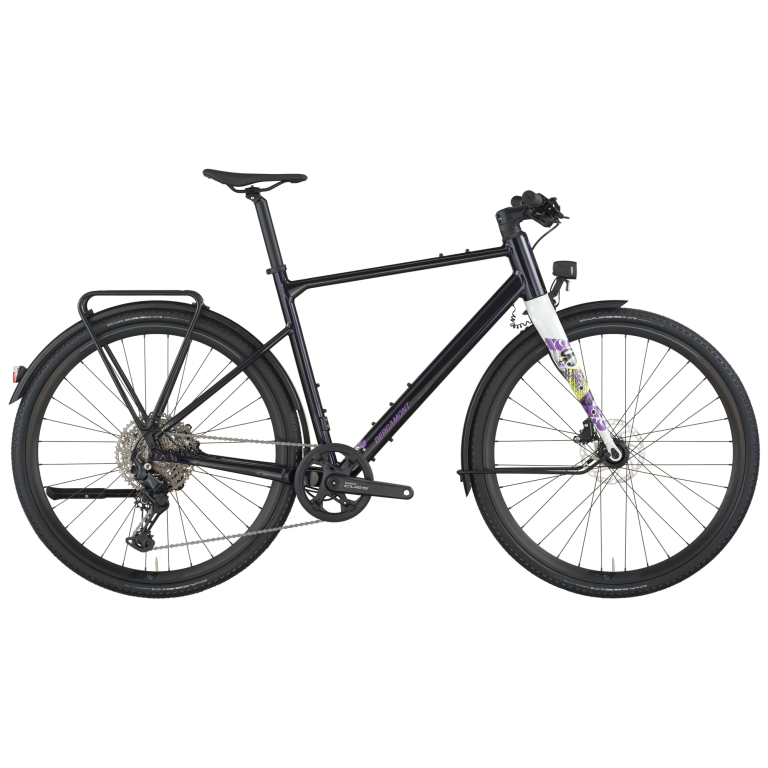 Bergamont Grandurance FB 10 EQ 2026, vélo de trekking à cintre plat et pneus larges, vue de profil