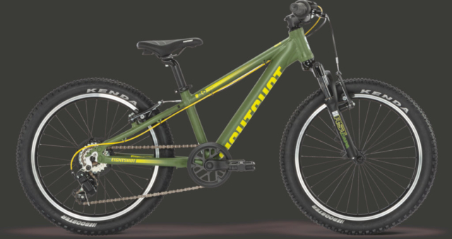 Eightshot COADY 20 FS vert, vélo enfant 20 pouces à fourche suspendue et freins V-brake, vue de profil