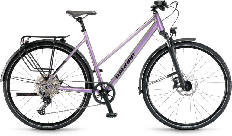 Winora Domingo X12 Pro Mid chameleon 2025, vélo de trekking aluminium, vue de profil