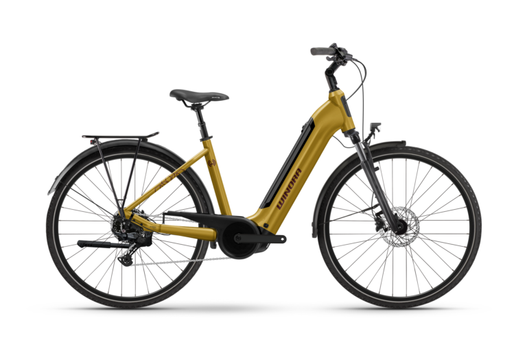 Winora TRIA X11 Wave - C2