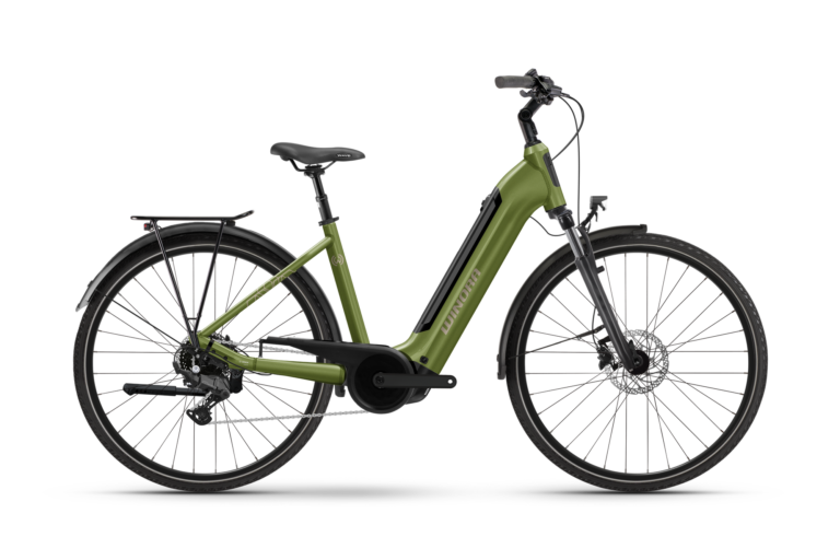 Winora TRIA X9 Wave - C2
